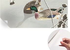 Dekoratív öntapadós fotótapéta irodába Békés kacsák 250x104 cm