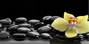 Fotó vászonkép edzett üveg Orchidea 140x70