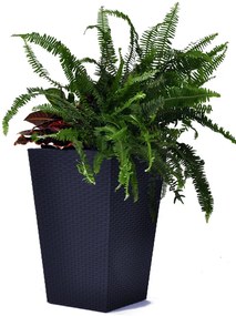 Keter Rattan kaspó S 23,6 l grafit