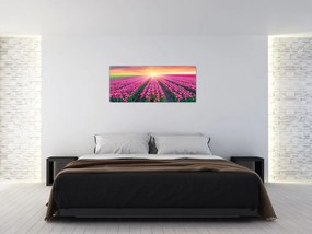 Tulipán mező és a nap képe (120x50 cm)