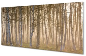 Üvegképek Sunrise fa erdő 100x50 cm