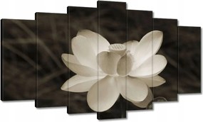 Vászonkép 140x80 Lótusz Lótuszvirág