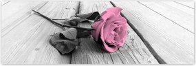 Poszterek 200x66 Rózsa világos deszkákon