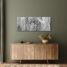Kép - Wild Meadow (120x50 cm)