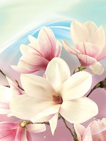 Fotótapéta Magnólia absztrakt finomság elegancia 184x254 +ragasztó