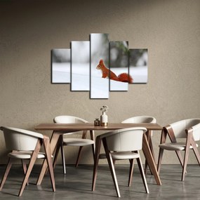 Egy mókus képe (150x105 cm)