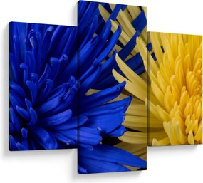 Kép - virág részlet (90x60 cm)