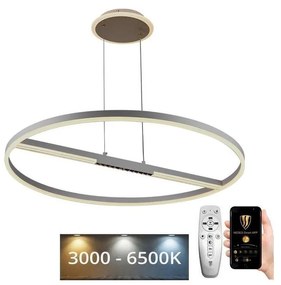 NEDES LED Dimmelhető csillár zsinóron LED/95W/230V 3000-6500K + távirányítás ND4013