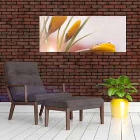 Kép - Tavaszi virágok (120x50 cm)