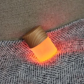 Natúr színű LED dimmelhető asztali lámpa üveg búrával (magasság 6 cm) Lemelia – Gingko