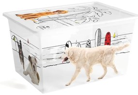 Fehér fedeles műanyag tárolódoboz 55x39x31 cm C Box Style – KIS