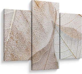 Kép - Bézs levelek (90x60 cm)