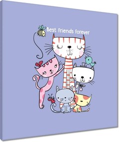 Vászonkép 50x50 Cica Cicák Macskák