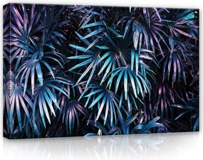 Vászonkép 60x40 Trópusok pálmalevelek dzsungel éjszaka neon lila egzotikum