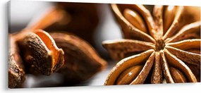 Kép - Anise (120x50 cm)
