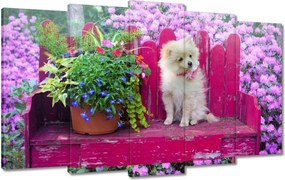 Vászonkép 100x60 Kutya Kutyák