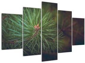 Kép - Fenyőfa részlete (150x105 cm)