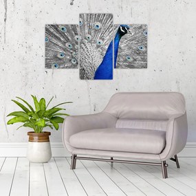 Kék páva képe (90x60 cm)