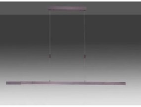 Paul Neuhaus 2568-24 - LED dimmelhető csillár zsinóron ADRIANA LED/14W/230V