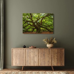 Kép - Zöld fa (90x60 cm)