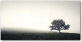 Fotó kép edzett üveg Magányos fa 140x70