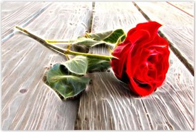 Poszterek 120x80 Kozmikus rózsa