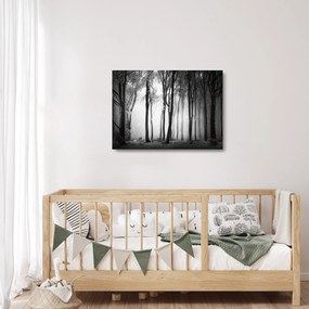 Üveg kép - Farkas a sötét erdőben (70x50 cm)