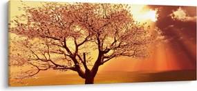 Isten sugarainak képe (120x50 cm)