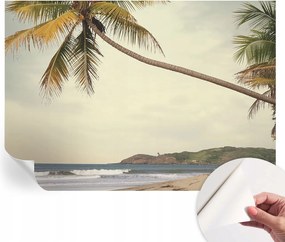 Design fali fotótapéta öntapadós Trópusi tájkép 208x146 cm