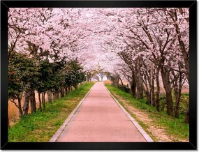 Poszterek keretben 40x30 Virágok