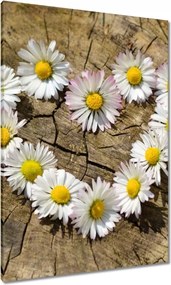 VĂĄszonkĂ©p 70x100 KamillaszĂv