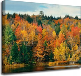 Vászonkép Színes Levelek Fák Ősz Természet 50x40 cm