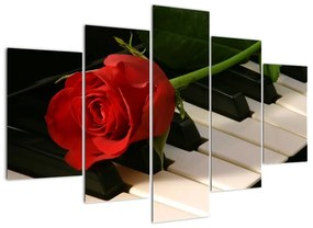 Képek - rózsa a zongorán (150x105cm)