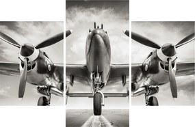 Kép - Warbird (90x60 cm)