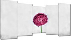 Vászonkép 150x80 Rózsaszín pitypang virág