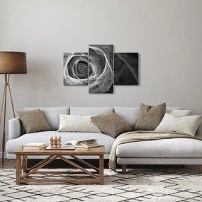 Kép - Absztrakt rózsa fekete-fehér (90x60 cm)