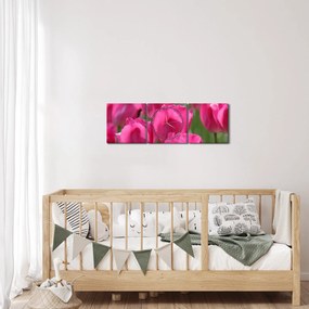 Kép - Rózsaszín tulipánok (órával) (90x30 cm)