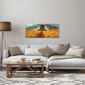 Kép - Zemedelec (120x50 cm)