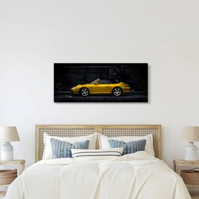 Kép - Sportkocsi (120x50 cm)
