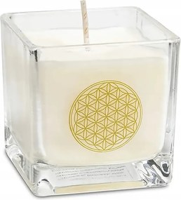 Repceviasz illatgyertya Az élet virága