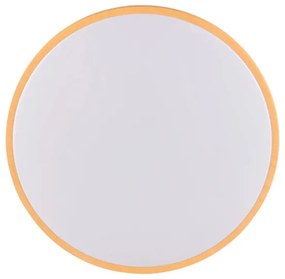 LED Mennyezeti lámpa WOODY LED/24W/230V á. 38 cm