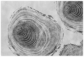 Kép - Fa motívum (90x60 cm)