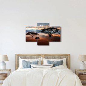 Kép - Serengeti Nemzeti Park, Tanzánia, Afrika (90x60 cm)