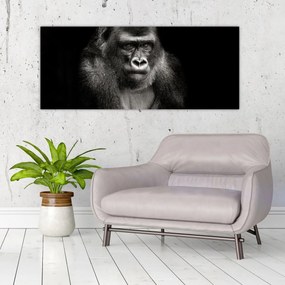 Kép - Gorilla (120x50 cm)