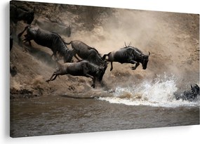 Kép - Gnúcsorda (90x60 cm)