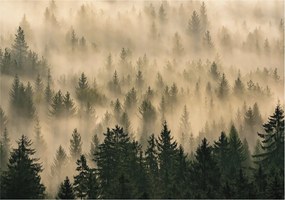 Flizelin Dekoratív fotótapéta Hálószobába Erdei köd 312x219 Ragasztó