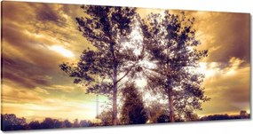 Festmények 120x60 Vidéki tájkép úttal