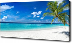 Vászonkép Trópusi tengerpart 100x70 cm