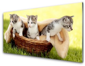 Üvegkép macskák Állatok 100x50 cm