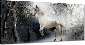 Vászonkép 60x30 Fehér paripa